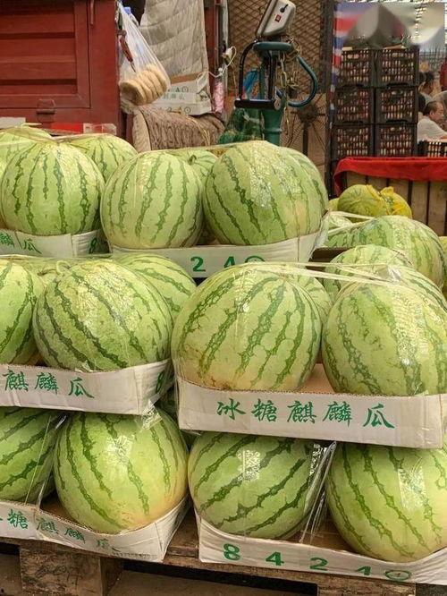 扫一扫免费吃瓜,免费瓜分惊喜，畅享夏日清凉！  第3张